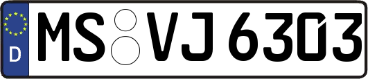 MS-VJ6303