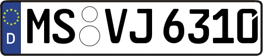 MS-VJ6310