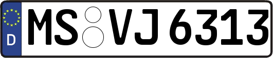 MS-VJ6313