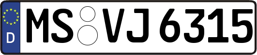 MS-VJ6315