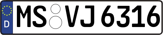 MS-VJ6316