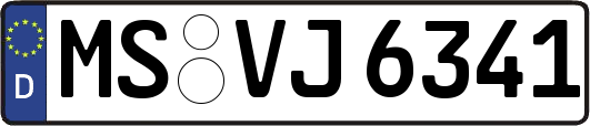 MS-VJ6341