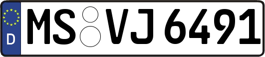 MS-VJ6491