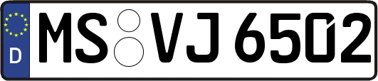 MS-VJ6502