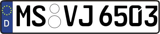 MS-VJ6503