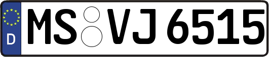 MS-VJ6515
