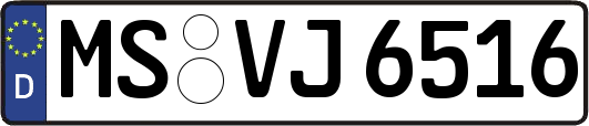 MS-VJ6516