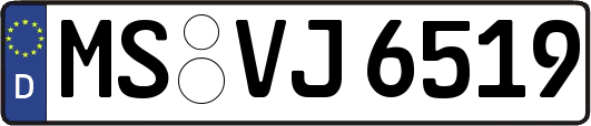 MS-VJ6519