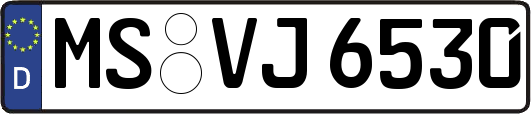MS-VJ6530