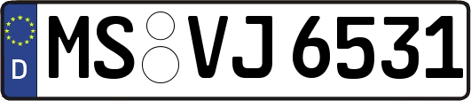 MS-VJ6531
