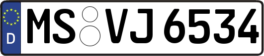 MS-VJ6534