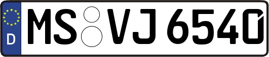 MS-VJ6540