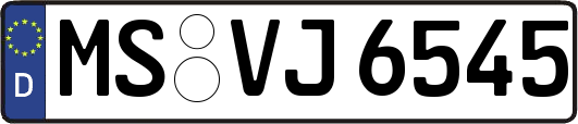 MS-VJ6545