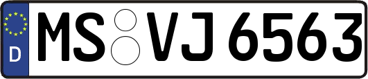 MS-VJ6563