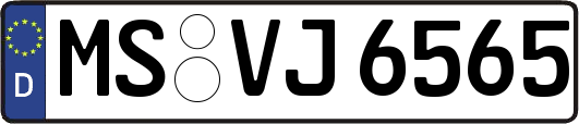 MS-VJ6565