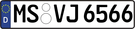 MS-VJ6566