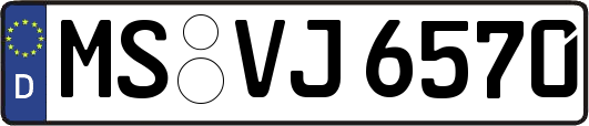 MS-VJ6570