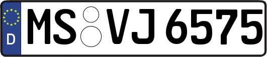 MS-VJ6575