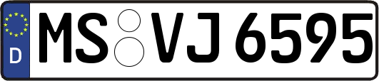 MS-VJ6595