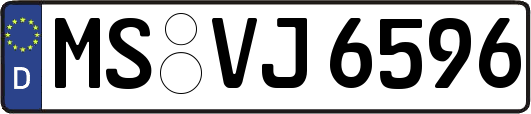 MS-VJ6596