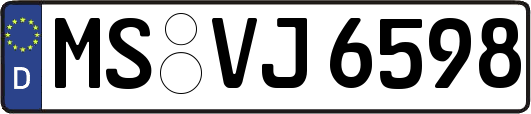 MS-VJ6598