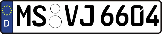 MS-VJ6604