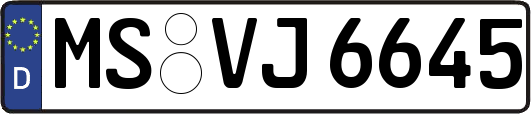 MS-VJ6645