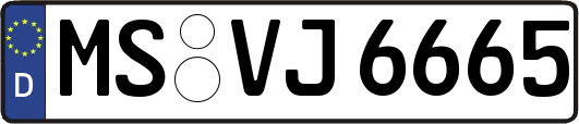 MS-VJ6665