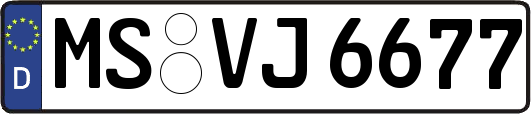 MS-VJ6677
