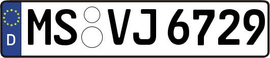 MS-VJ6729