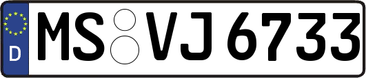 MS-VJ6733