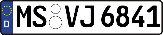 MS-VJ6841