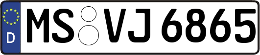 MS-VJ6865