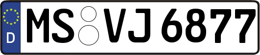 MS-VJ6877