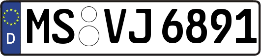 MS-VJ6891