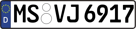 MS-VJ6917