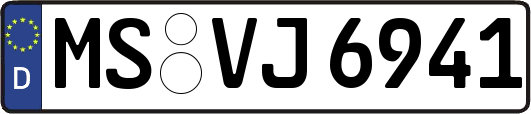MS-VJ6941