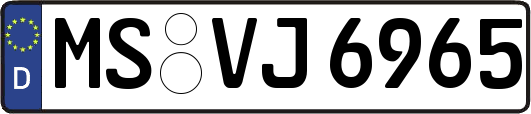 MS-VJ6965
