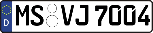MS-VJ7004
