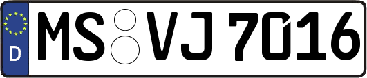 MS-VJ7016