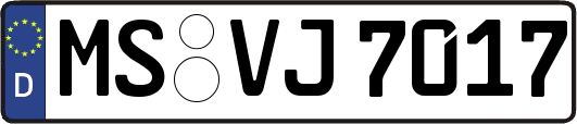 MS-VJ7017