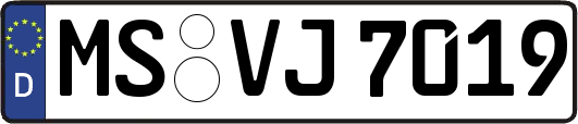 MS-VJ7019