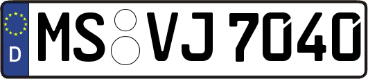 MS-VJ7040