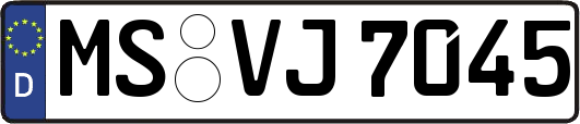 MS-VJ7045