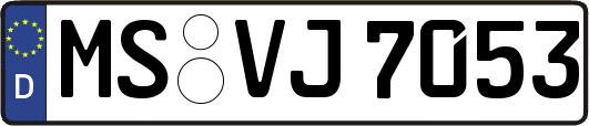 MS-VJ7053