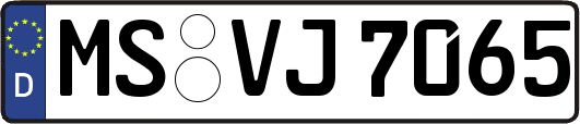 MS-VJ7065