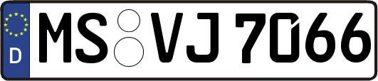 MS-VJ7066