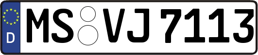 MS-VJ7113