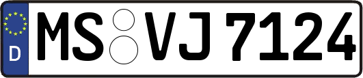 MS-VJ7124