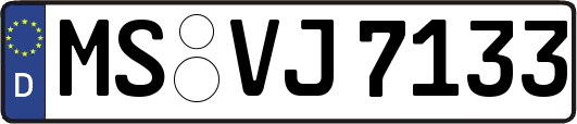 MS-VJ7133